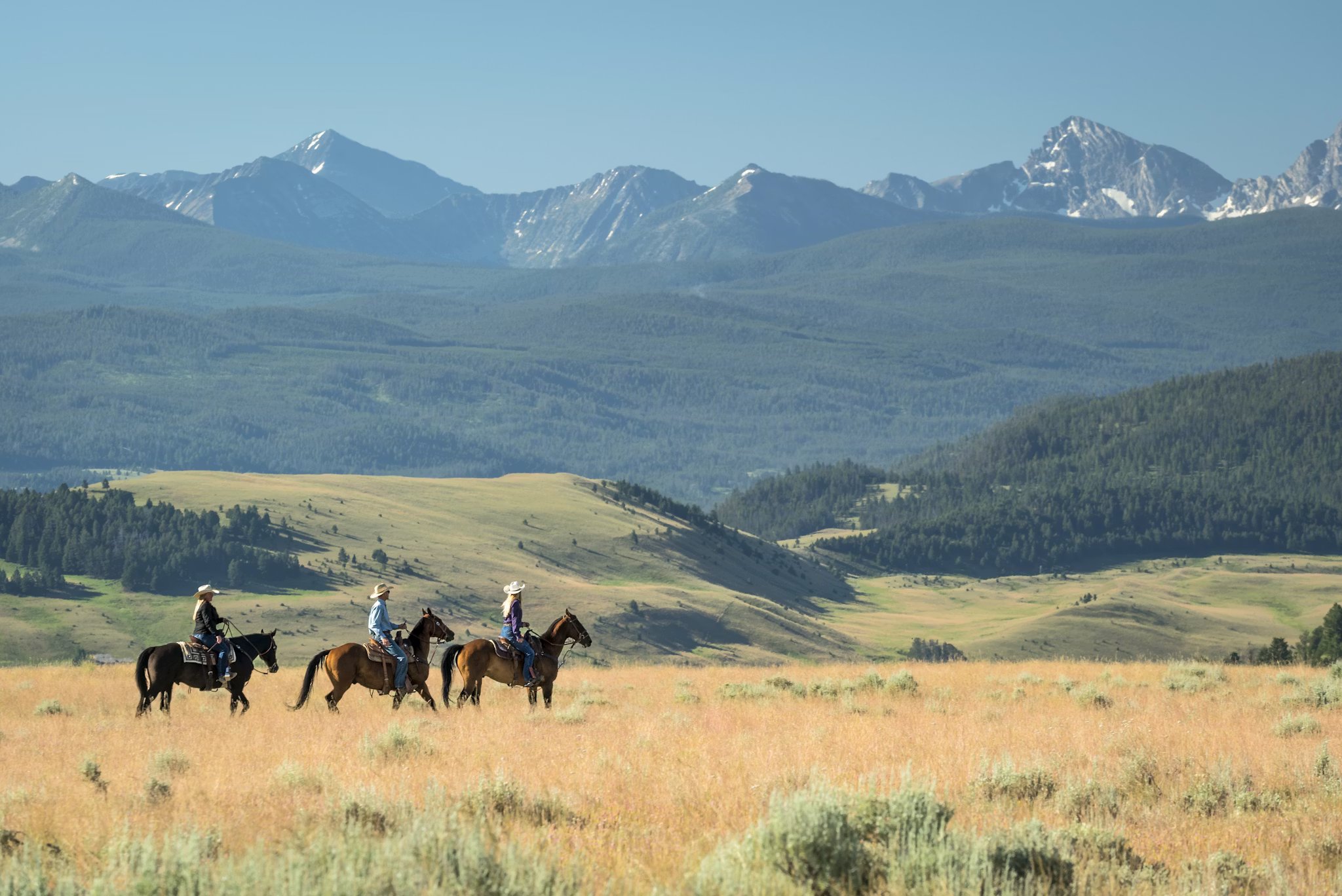 Best Ranch Experiences United States: A Strategic Pillar Guide